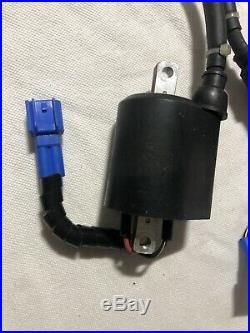 Yamaha HPDI 250 Outboard ignition coils (60V-82310-10-00) (60V-82310-01-00)
